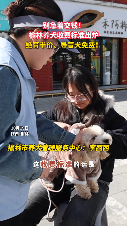 别急着交钱！ 榆林养犬收费标准出炉 绝育半价、导盲犬免费！